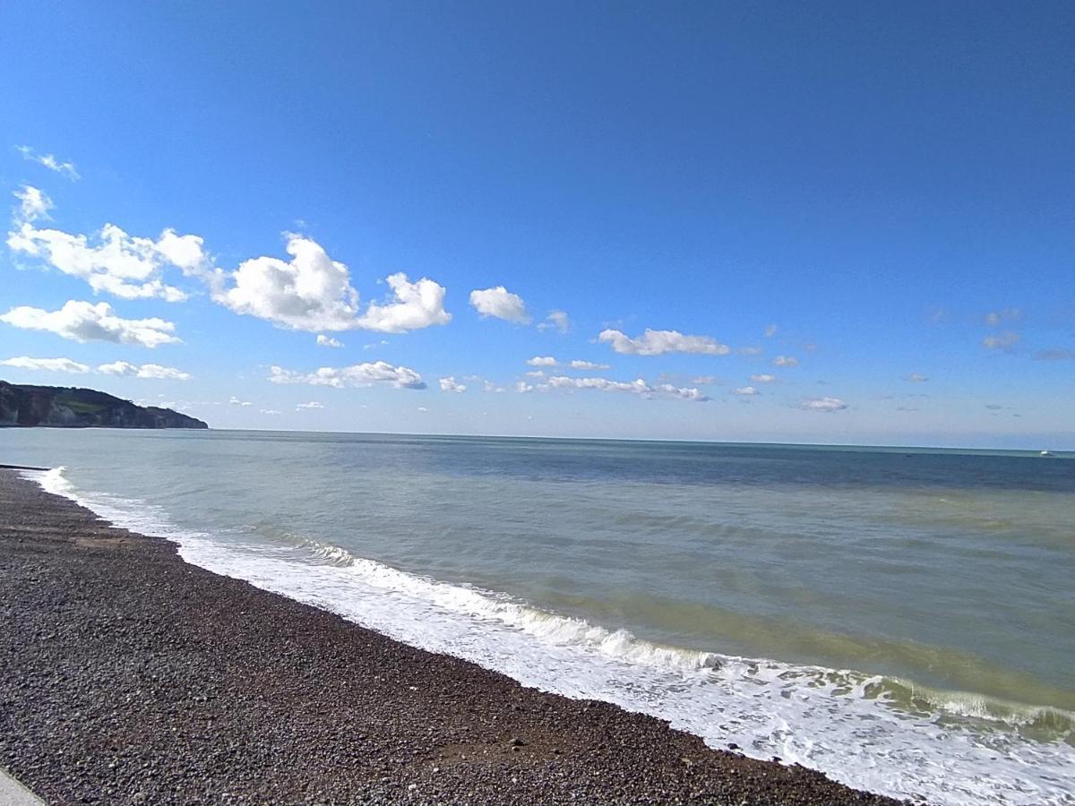 Jolie Maison En Bord De Mer A Pourville Hautot-sur-Mer Ngoại thất bức ảnh